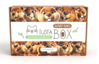 Купить Милота MilotaBox "Бобёр Бокс" в интернет-магазине Букваешка