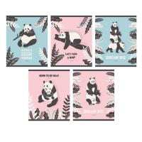 Тетрадь Милые панды, А5, 48 листов, клетка
