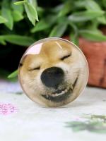 Попсокет "Spaca dog"