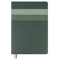 Ежедневник недатированный А5, Лайка зеленый, 160 л., арт. 70628