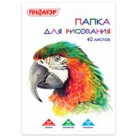 Самсон Папка для рисования, А4, 40 л., 120 г/м2, ПИФАГОР, 210х297 мм, "Попугай", 129222