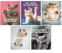 Тетрадь А5 80л. Гребень. Клетка. Подкрадули