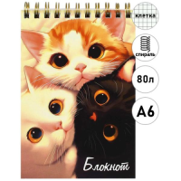 Блокнот А6, 80 л, ТРИ КОТА арт. 74034