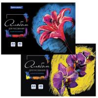 Альбом д/рис. А4 40л., склейка, обложка картон, подложка, BRAUBERG, 207х297мм, 106330