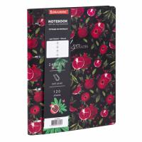 Тетрадь на кольцах БОЛЬШАЯ А4 240х310мм 120л, под кожу, BRAUBERG, 404513