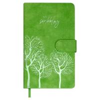Ежедневник недатированный А6+, Тиволи салатовый, 120 л., арт. 70679