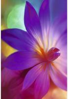 Книга д/записей А5 80л. Вдохновение!, ламинация Chameleon.