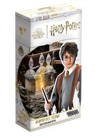 Купить Настольная игра: Гарри Поттер Оборотное зелье в БУКВАЕШКА