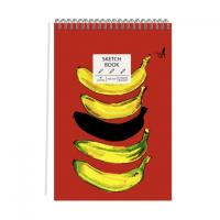 Скетчбук Sketchbook. Banana brain, А5, 40 листов