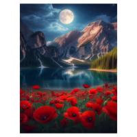 Холст с красками 30х40 см по номерам (30цв.) Красные маки в ночи (арт. ХК-5237)