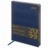 Ежедневник датированный на 2022 год "Iguana", А4 (210х297 мм), 168 листов, цвет обложки синий