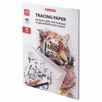 Самсон Калька для чертежных и дизайнерских работ папка, А4, 210х297мм, 40г/м2, 40 листов, BRAUBERG,