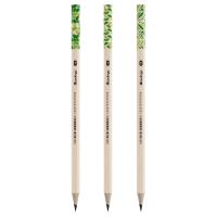 Карандаш ч/г Berlingo "Green Series" HB, шестигран., заточен., пластик., ассорти BP00860