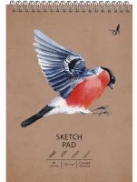 Скетчпад А5, 140х200мм, 40л. Евроспираль. Снегирь
