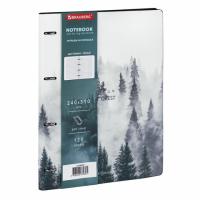 Тетрадь на кольцах БОЛЬШАЯ А4 240х310мм 120л, под кожу, BRAUBERG, 404515