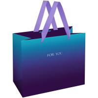 КанцРЦ Пакет подарочный 23*18*10см MESHU "Intense gradient", фольга,  матовая ламинация