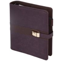 Ежедневник-органайзер недатированный BRAUBERG В6, 160л коричневый, 116210