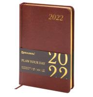 Ежедневник датированный на 2022 год "Iguana", А5, 168 листов, цвет обложки коричневый