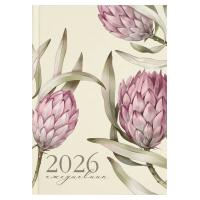 Ежедневник датированный 2026 А5, 145х205 мм Протея, 160 л., тв., арт. 71538