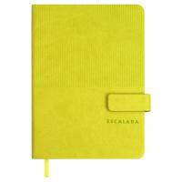 Ежедневник недатированный А6+, Виннер лаймовый, 120 л., арт. 70683