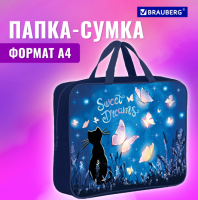 Папка на молнии с ручками BRAUBERG А4, 1 отделение