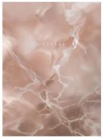 Тетрадь А4 120л. Клетка. Marble