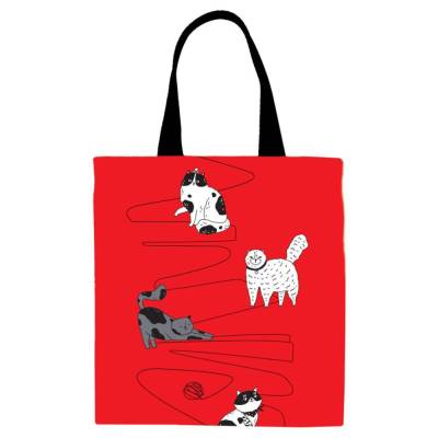 КанцРЦ Сумка-шоппер MESHU "Wander", 33*40см, канвас, с карманом