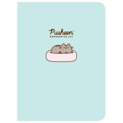 Тетрадь на кольцах А5 120л кл Pusheen 14944-EAC