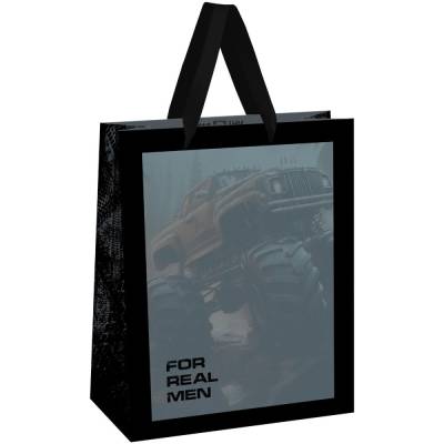 КанцРЦ Пакет подарочный 26*32*12см MESHU "For man", выборочный лак, матовая ламинация