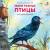 Робинс Книжки - картонки. Загадки - рифмы. Такие разные птицы