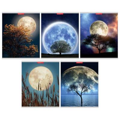 Тетрадь 80л скр А5 кл Фантастическа Луна 11979/5-EAC ВД лак