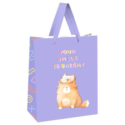 КанцРЦ Пакет подарочный 26*32*12см MESHU "You are special", выб. лак, белый крафт