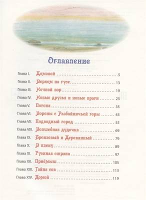  Чудесное путешествие Нильса с дикими гусями . Сказки