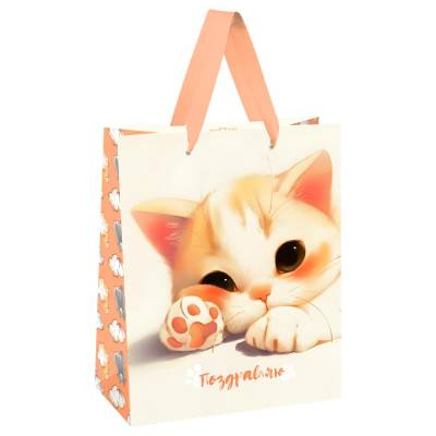 КанцРЦ Пакет подарочный 18*23*10см MESHU "Lovely kitten", матовая ламинация