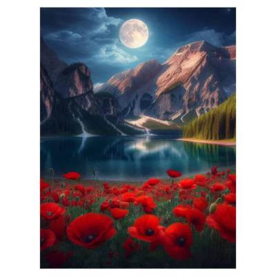 РыжКот Холст с красками 30х40 см по номерам (30цв.) Красные маки в ночи (арт. ХК-5237)