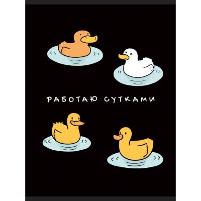 Тетрадь для конспектов А4, 60л. Скрепка. Работаю сутками