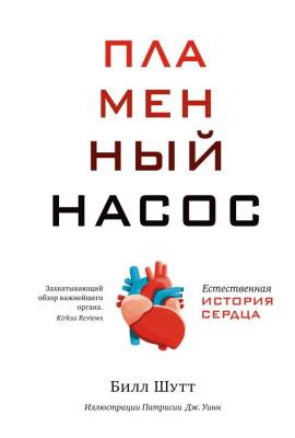 Мах Колибри. НаучИнт. Пламенный насос. Естественная история сердца. Шутт Б.
