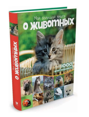Феникс Хочу все знать! Моя большая книга о животных, авт. Латушко