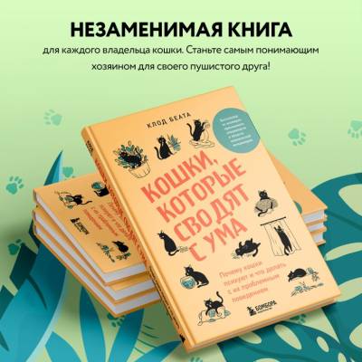 Кошки, которые сводят с ума. Почему кошки психуют и что делать с их проблемным поведением. Клод Беата