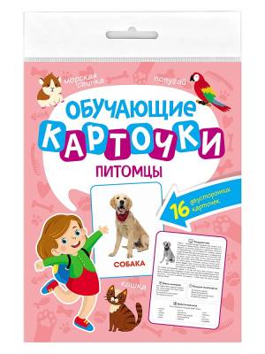 Купить Проф-П Обучающие карточки европодвес. Питомцы в интернет-магазине Букваешка