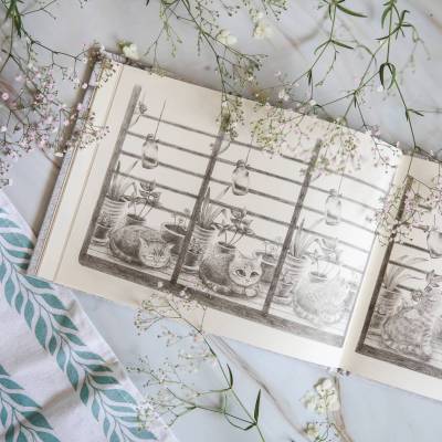 Поп Потерялся кот