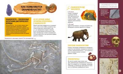 Мах ДетИстИскусств. Первобытное искусство. Сокровища древних пещер.
