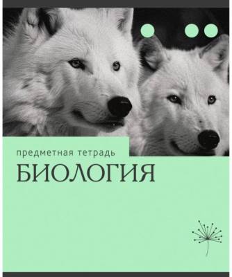 КанцЭксмо Тетрадь предмет. А5 36л. Скрепка. Эрудиция. Биология. Клетка/Линия. Обложка: ме