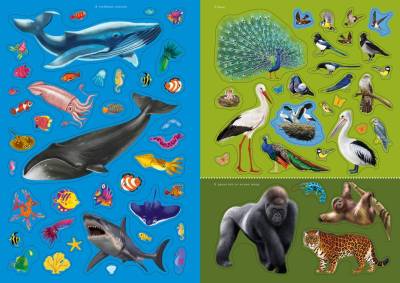 Робинс Наклейки с заданиями. Мои первые животные