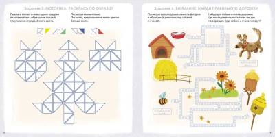 Альбом для развития мозга 5+. Готовимся к школе