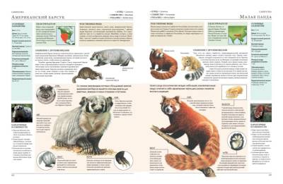 Животные мира. Моя большая энциклопедия.