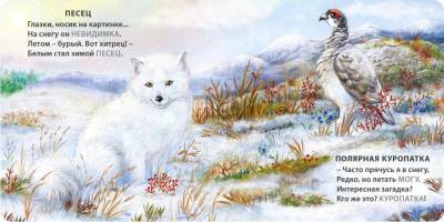 Робинс Книжки - картонки. Загадки - рифмы. Животные - невидимки