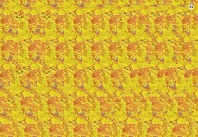 Робинс Асборн - карточки. Самые лучшие стереокартинки