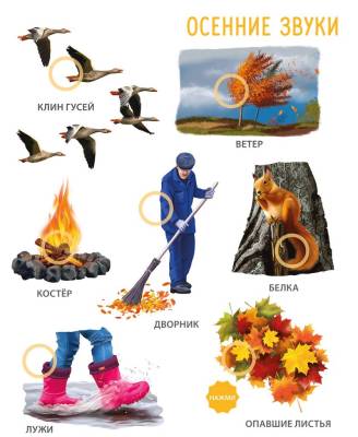 Робинс 50 звуков. Мир вокруг меня