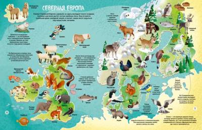 Мир животных в картинках. Илария Барсотти